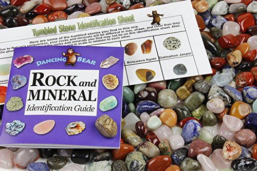 DANCING BEAR 1 Pounds Tumbled Polished Natural Gem Stones + 24 Page Rock & Mineral Book. Average Stone Size ¾ inch. Choose 1 or 2 pounds Brand