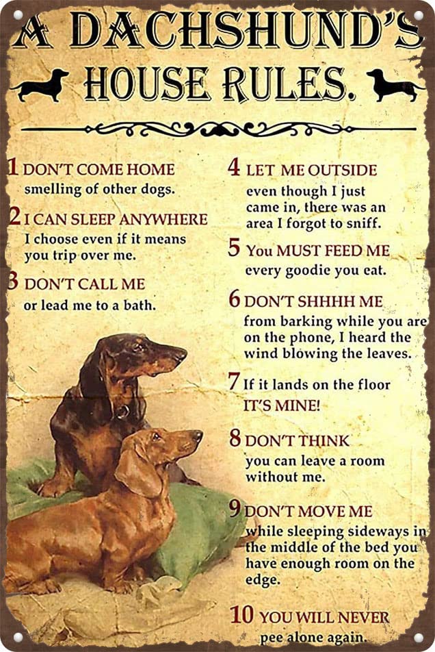 Habilboi Dachshund Tin Sign A Dachshund House Rules Metal Tin Sign Dachshund Dog Vintage Tin Poster Metal Sign Wall Decoration Country Kitchen Farm Home Garage Decor 8x12inch